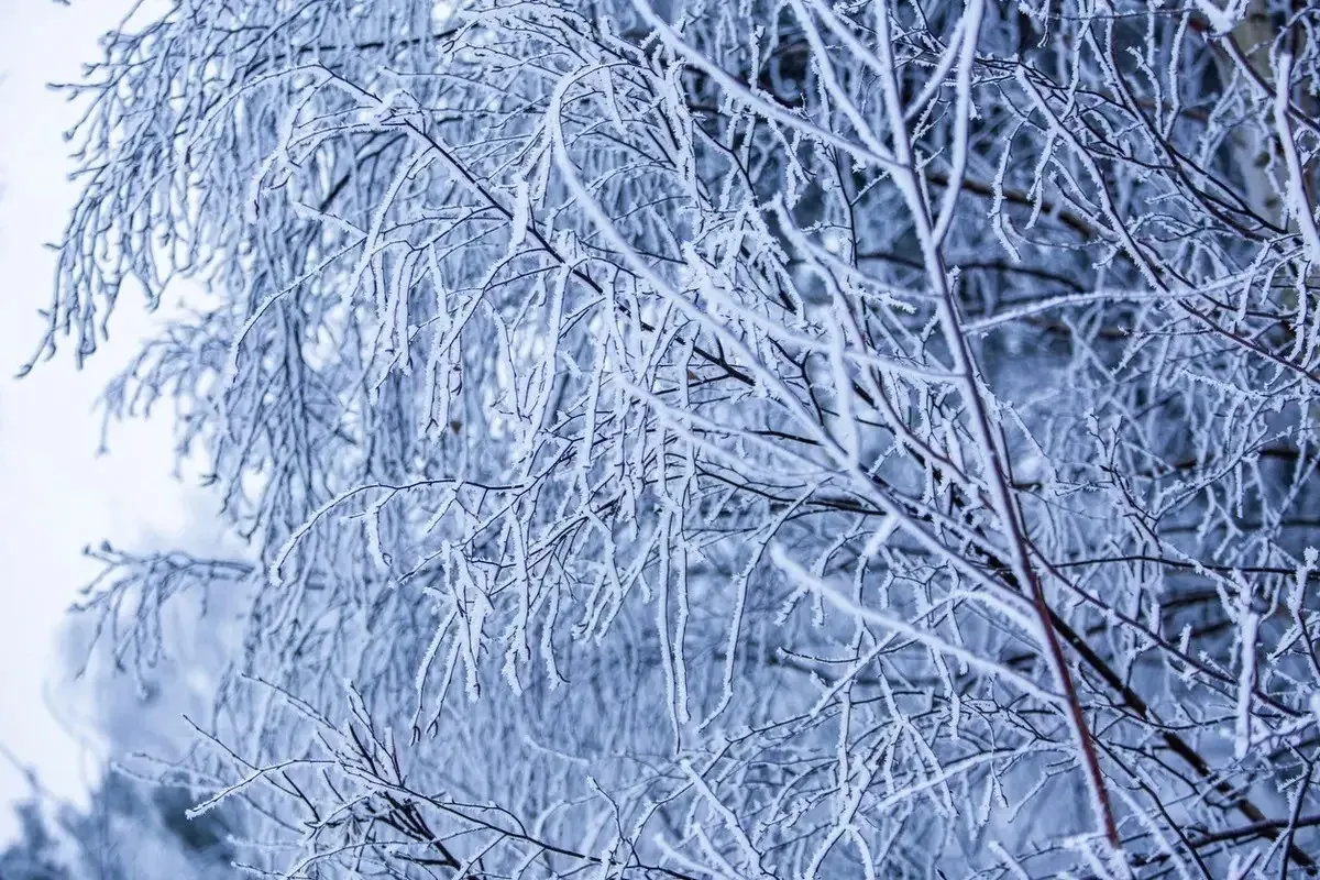 Маңғыстаудағы суық пен бұрқасын: 26 қаңтарға арналған ауа райы болжамы