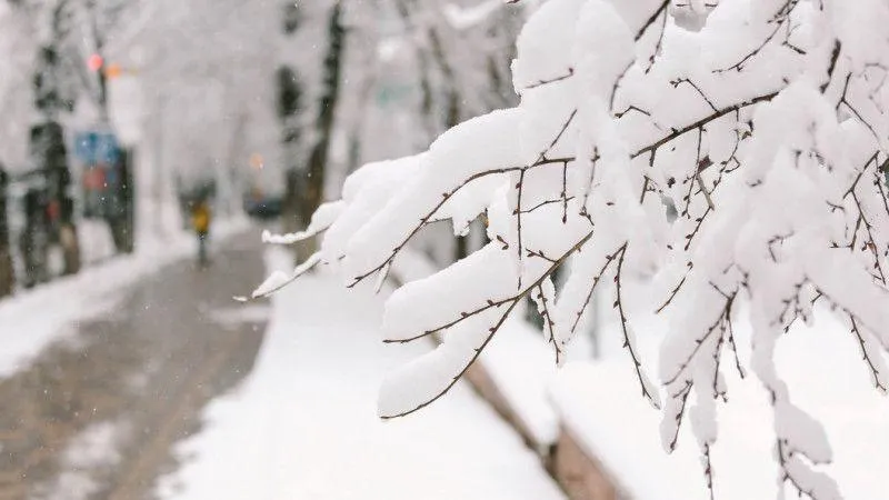 Маңғыстауда аяз күшейді: 27 қаңтарға арналған ауа райы болжамы