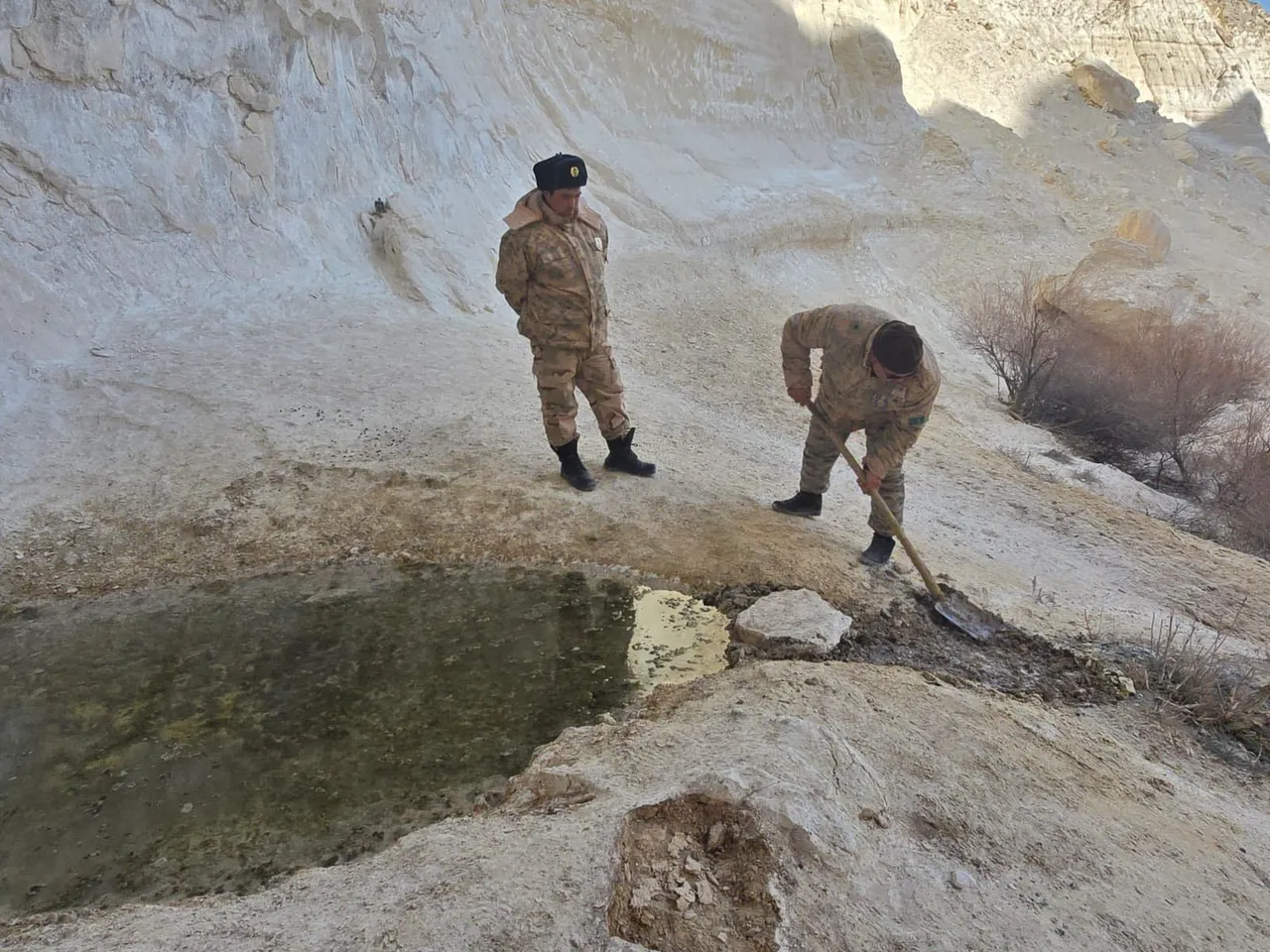 «Қызылсай» табиғи паркі аумағында бұлақ көздері тазартылды