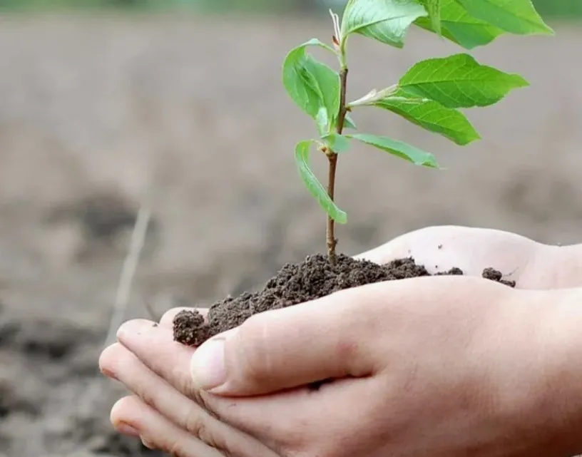 Наурыз – табиғаттың жаңару мерекесі