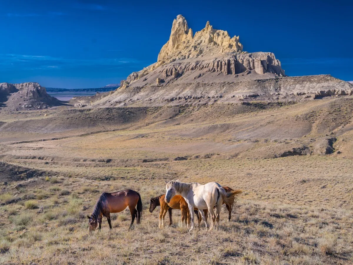 Маңғыстаудағы көрікті жерлерге қоқыс контейнерлері қойылды