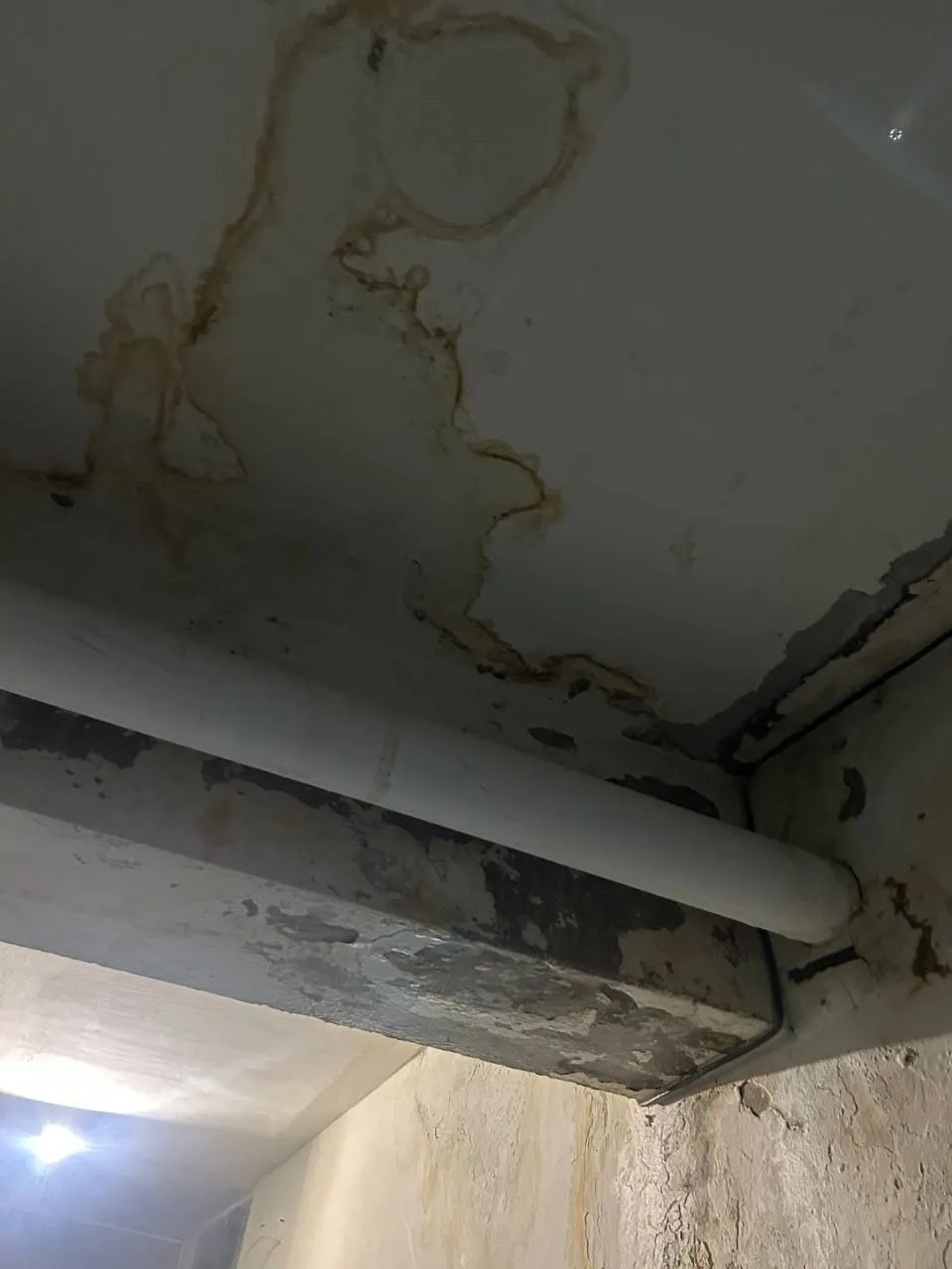 Ақтаулықтарға кеңес: Жаңбырдан кейін пәтерді немесе үй кіреберісін су басса не істеу керек?