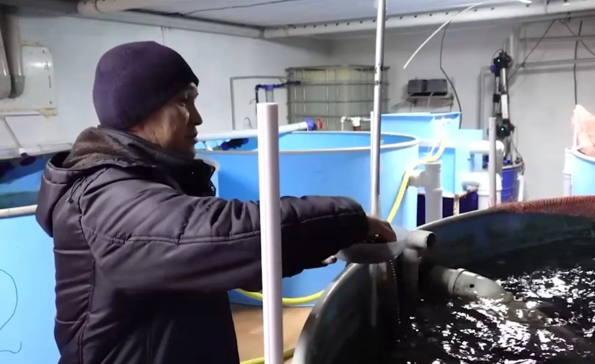 Жаңаөзендік отбасы форель өсіріп, шаруашылықпен айналысады