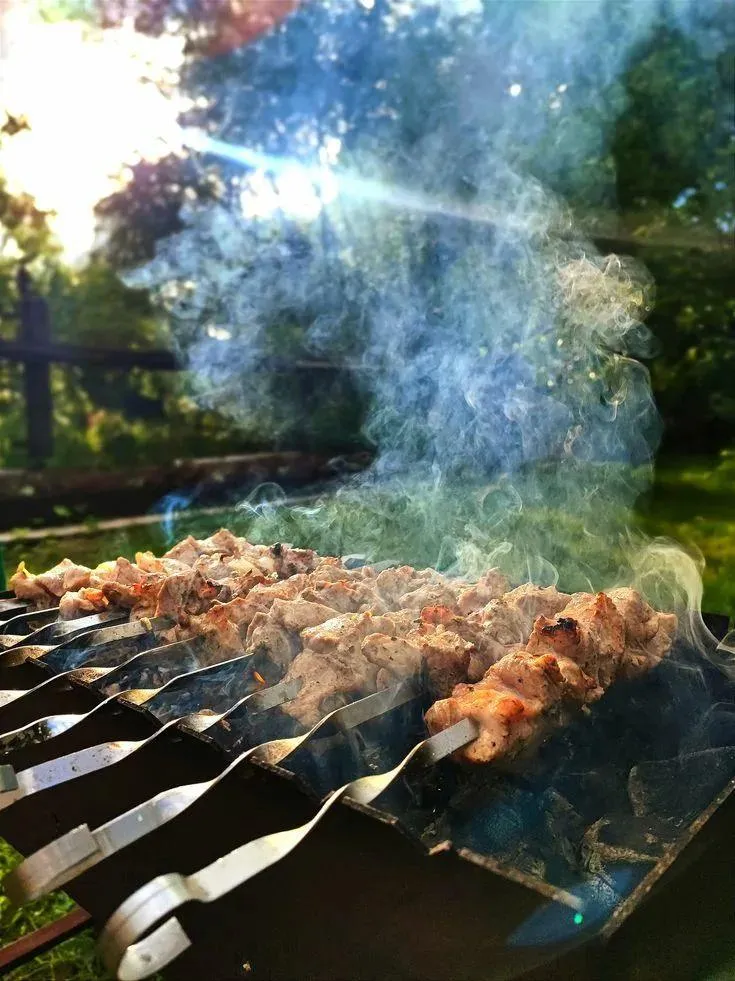 Табиғат аясында кәуап пісіргендерге айыппұл салынады