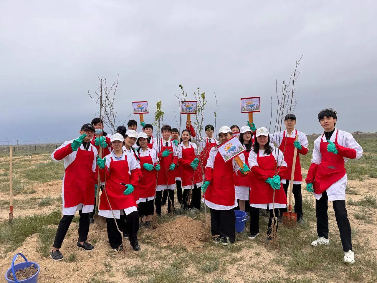 Мұнайлыда мектеп бітіруші түлектер ағаш егу челленжін бастады