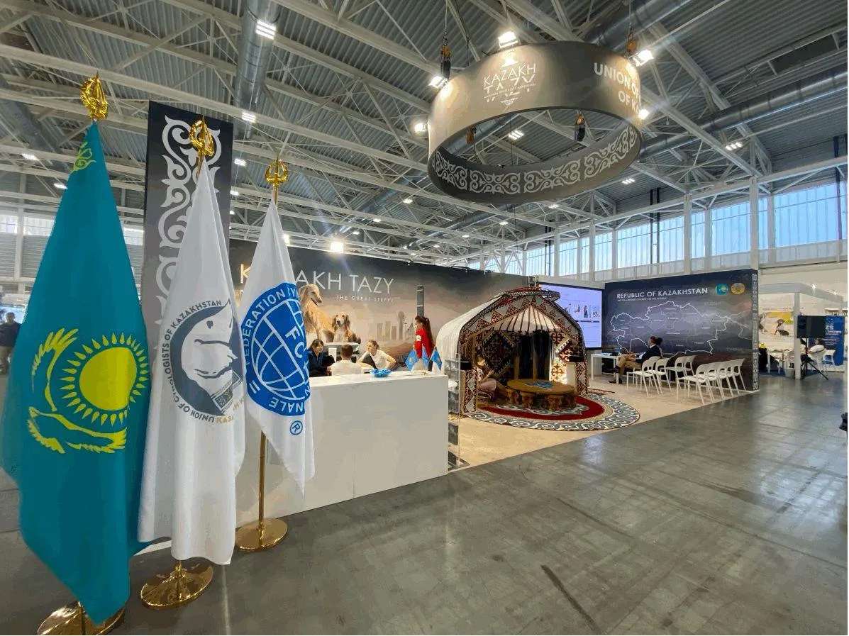 Қазақы тазы Болоньяда өткен World Dog Show 2026 көрмесінде салтанатты түрде таныстырылды