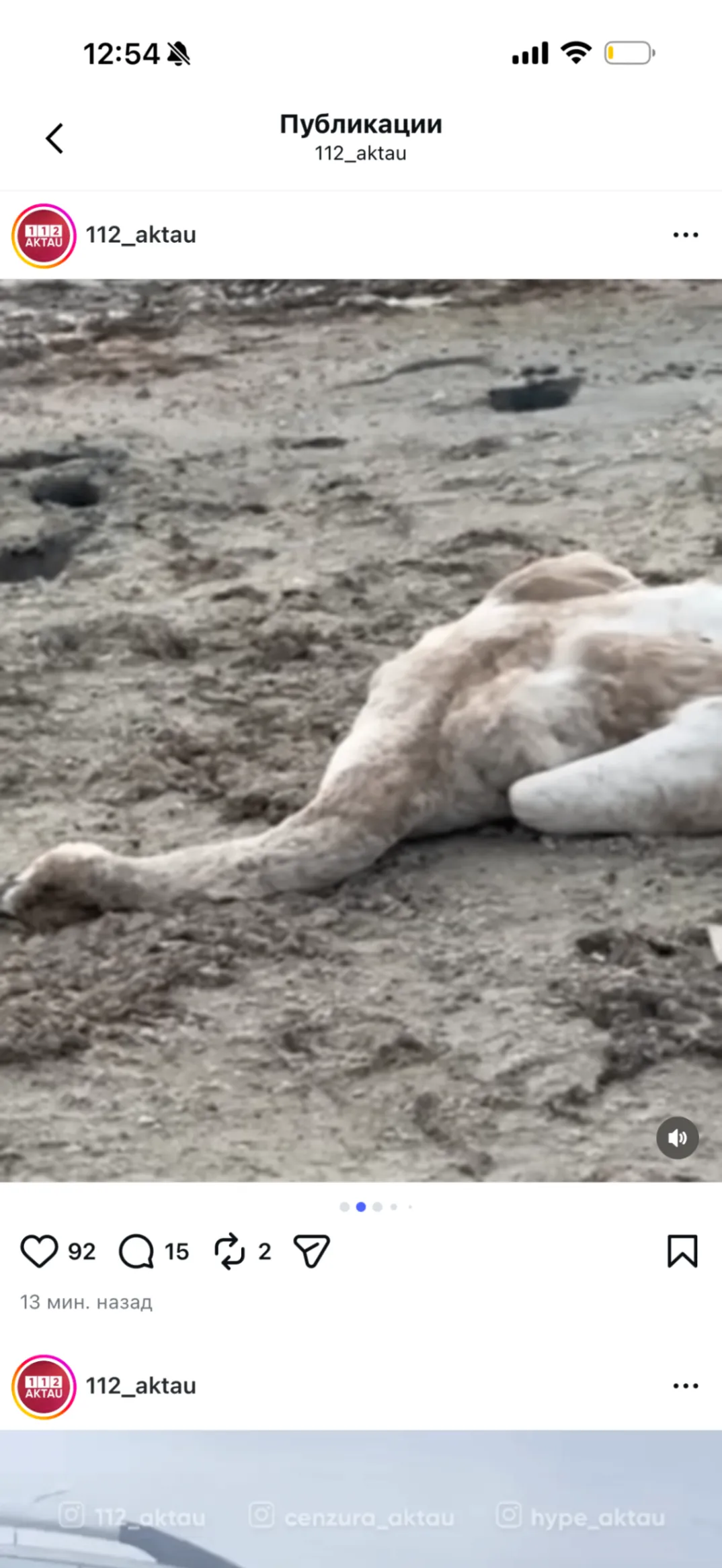 Сайын Шапағатов ауылы маңындағы аққулардың өлу фактісі туралы мамандар не деді?