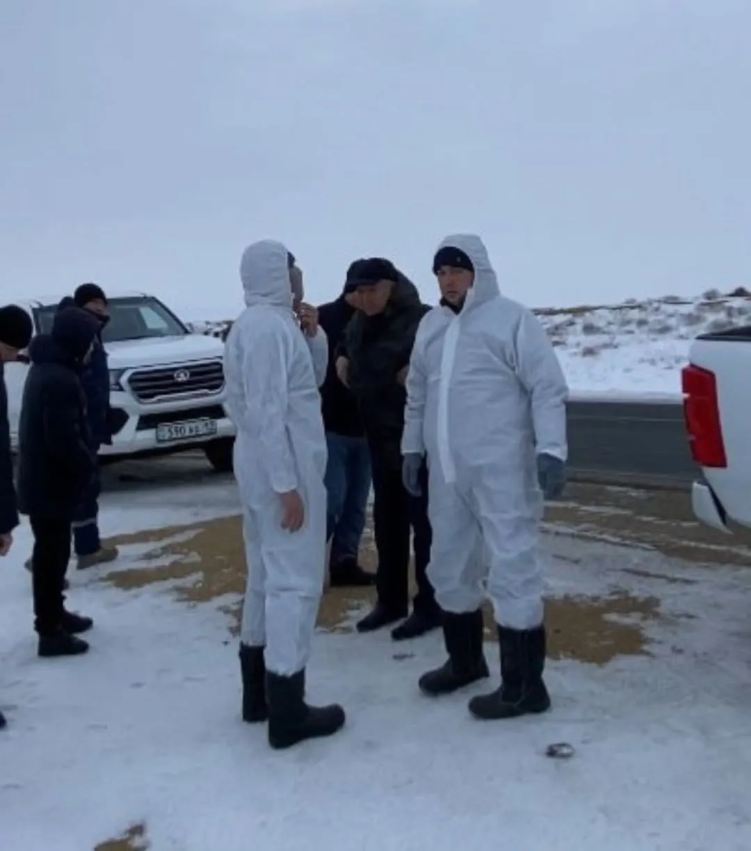 Бейнеуде құтыру ауруын алдын алу шаралары күшейтілді