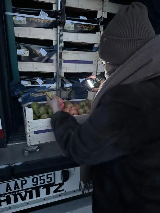 Маңғыстауға Бельгиядан жеткізілген 19 тонна алмұрт кері қайтарылды