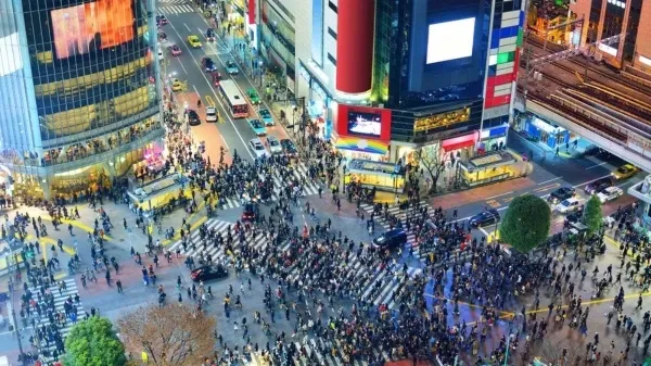 Президент озық шешімдерді мемлекеттік басқару саласына енгізуде Жапония тәжірибесіне назар аударуға шақырды